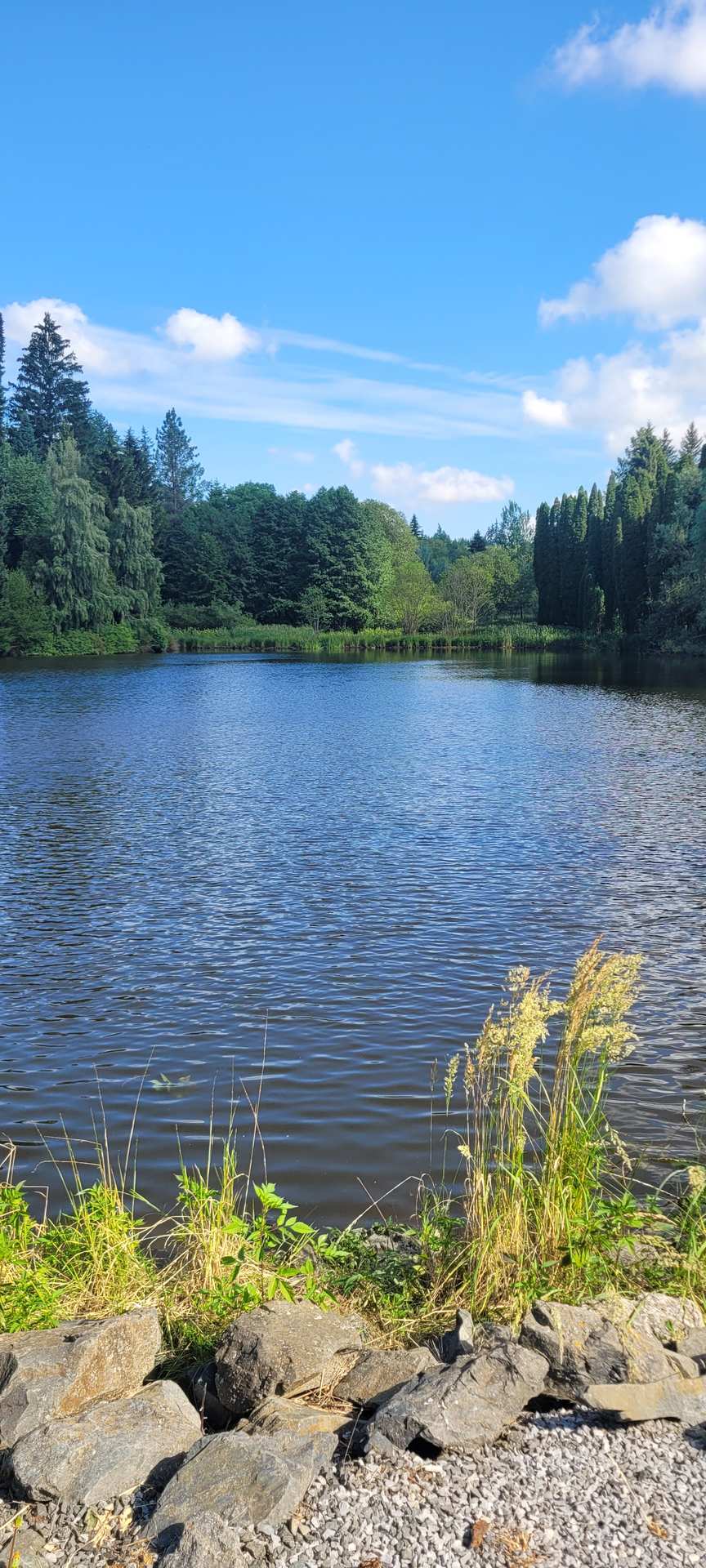 Vodní plocha v Arboretu Křtiny