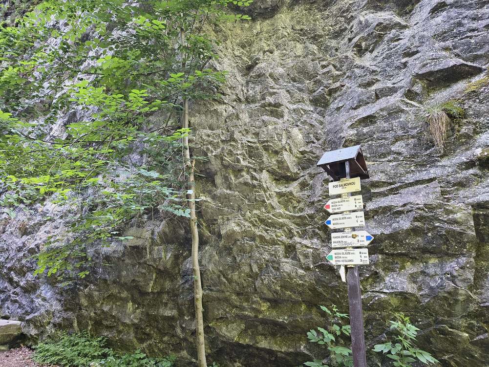 Rozcestník Pod Salmovkou