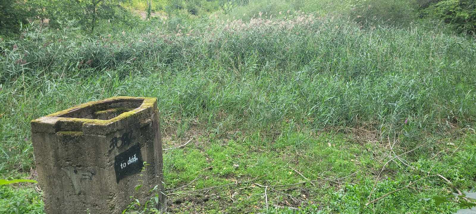 Přepad jednoho z rybníků zarostlý vegetací