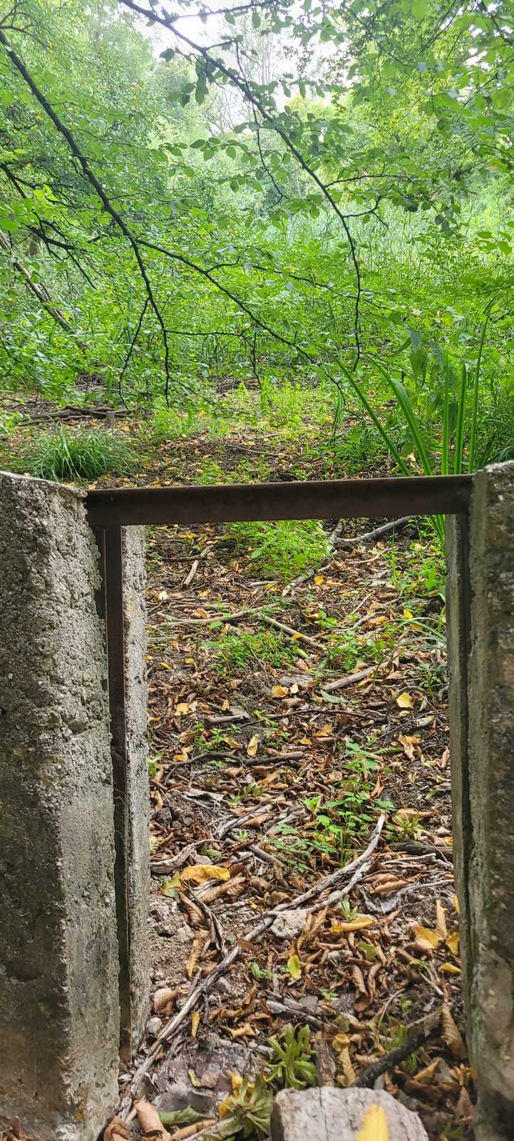 Cesta k lokalitě mezi rybníky