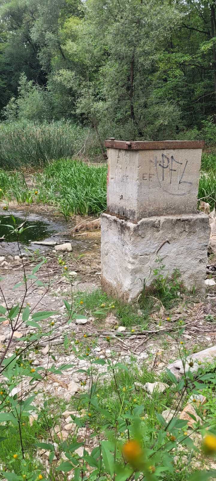 Účastníci na cestě k místu srazu